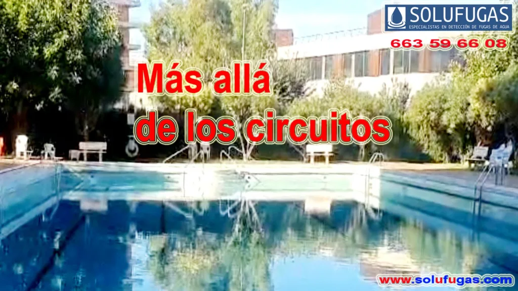 Mas-alla-de-los-circuitos.-Solufugas